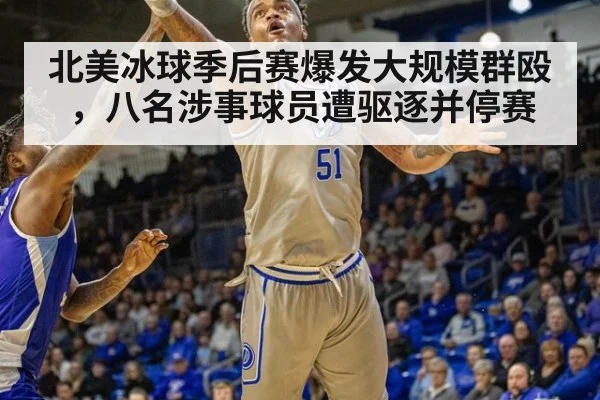 北美冰球季后赛爆发大规模群殴,八名涉事球员遭驱逐并停赛